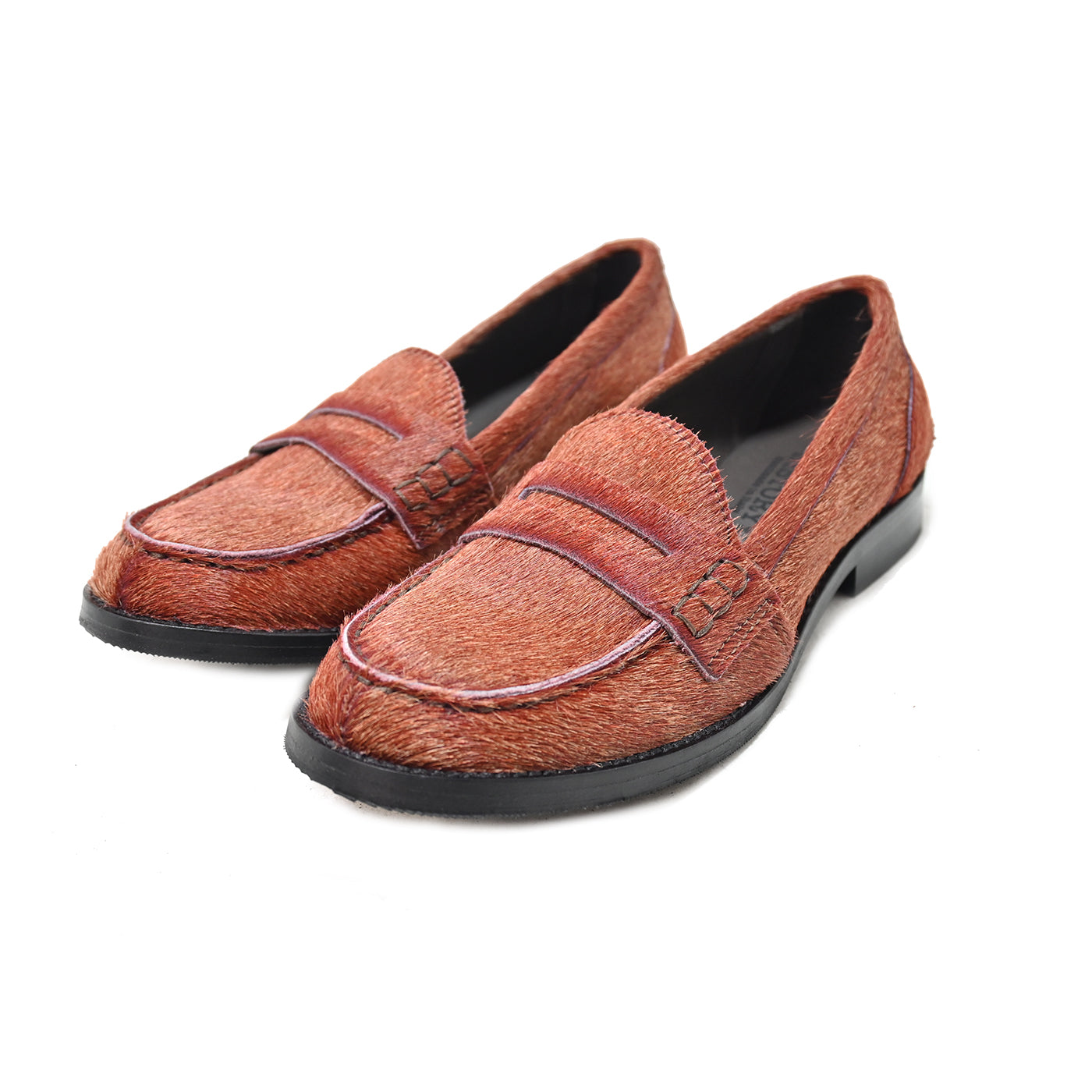 PRA 200 – College-Pferd CAPRIOSKA