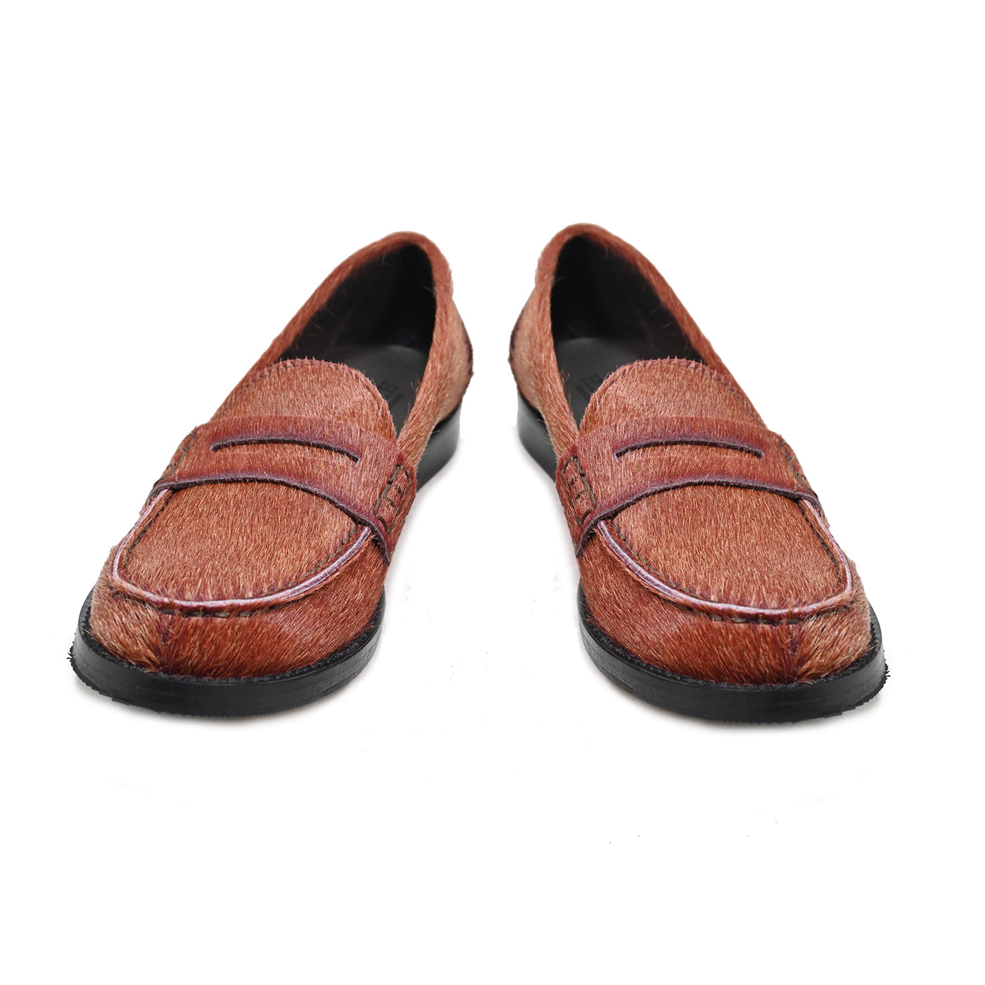 PRA 200 – College-Pferd CAPRIOSKA