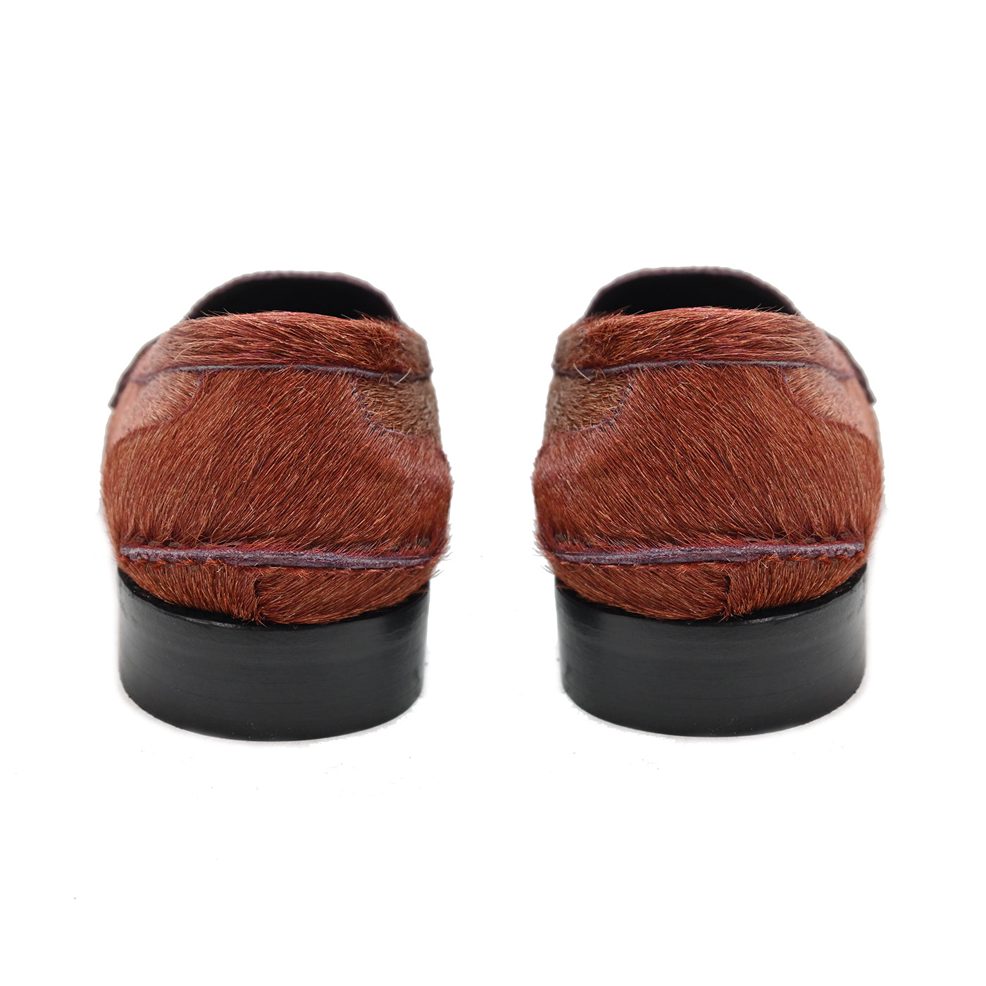 PRA 200 – College-Pferd CAPRIOSKA